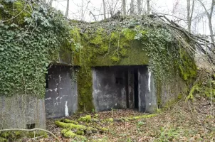 Ligne Maginot - EICHWALD (BATTERIE DE L') - (Position d'artillerie préparée) - PC batterie 3 et 4
Vue sur les entrées