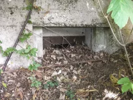 Ligne Maginot - HOPITAL - (Blockhaus pour arme infanterie) - Vue extérieure sur l'ouverture coté Est. Sa plaque de blindage porte volet est bien visible.