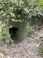 Ligne Maginot - T770 - PA DU LINSENBERG 1 - (Cuve pour arme d'infanterie) - Entrée 

