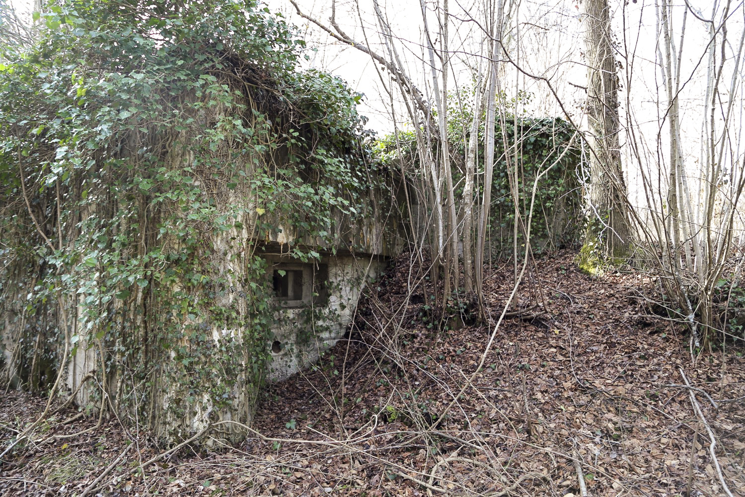 Ligne Maginot - BREITSAND 8 - (Blockhaus pour arme infanterie) - 