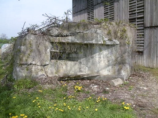 Ligne Maginot - MITTELFELD 5 - (Blockhaus pour canon) - 