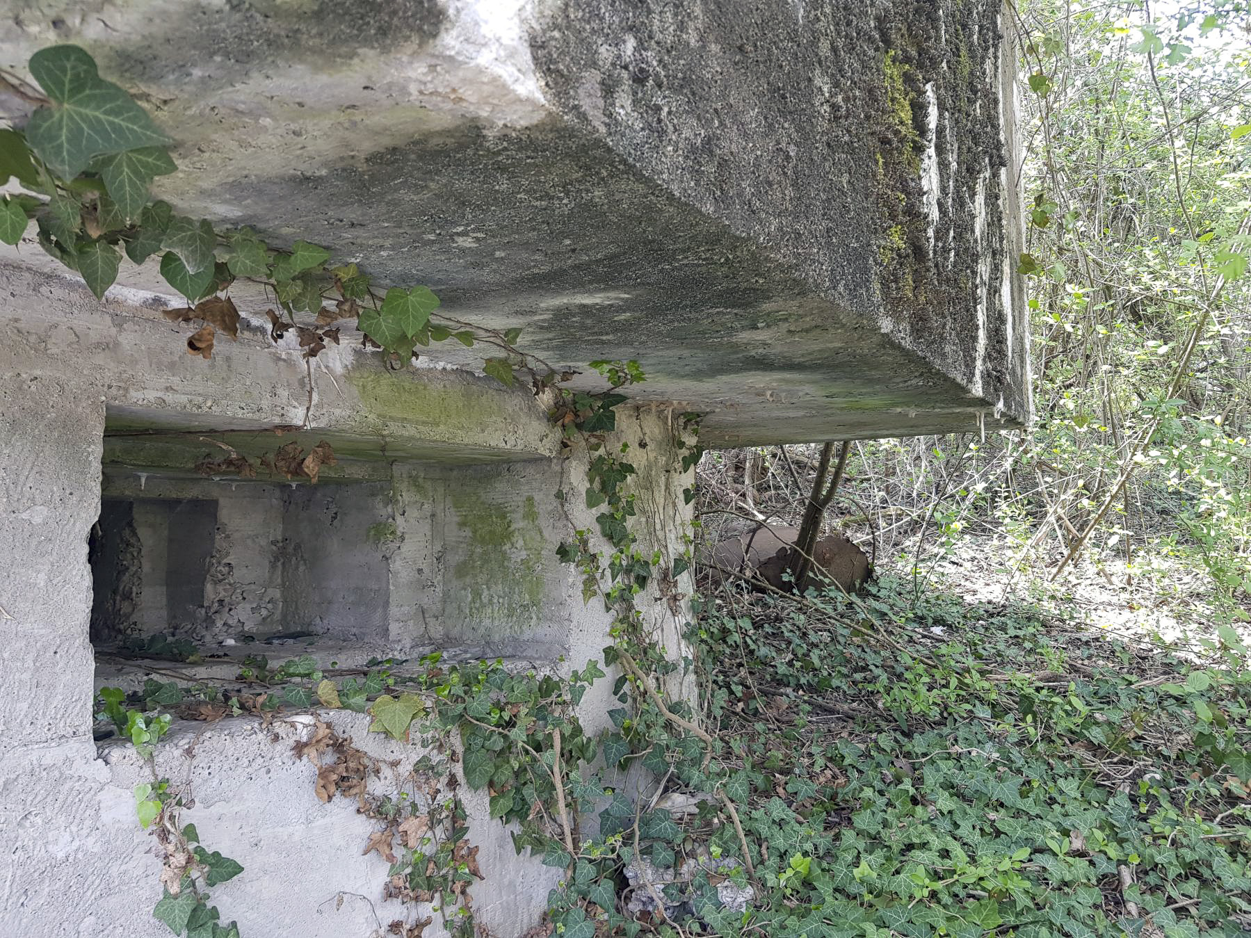 Ligne Maginot - POLDER D'ERSTEIN - (Blockhaus pour arme infanterie) - Vue de l'embrasure