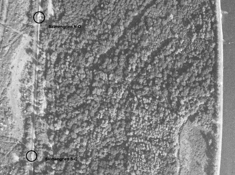 Ligne Maginot - SALMENGRIEN Nord Ouest et Sud Ouest - 