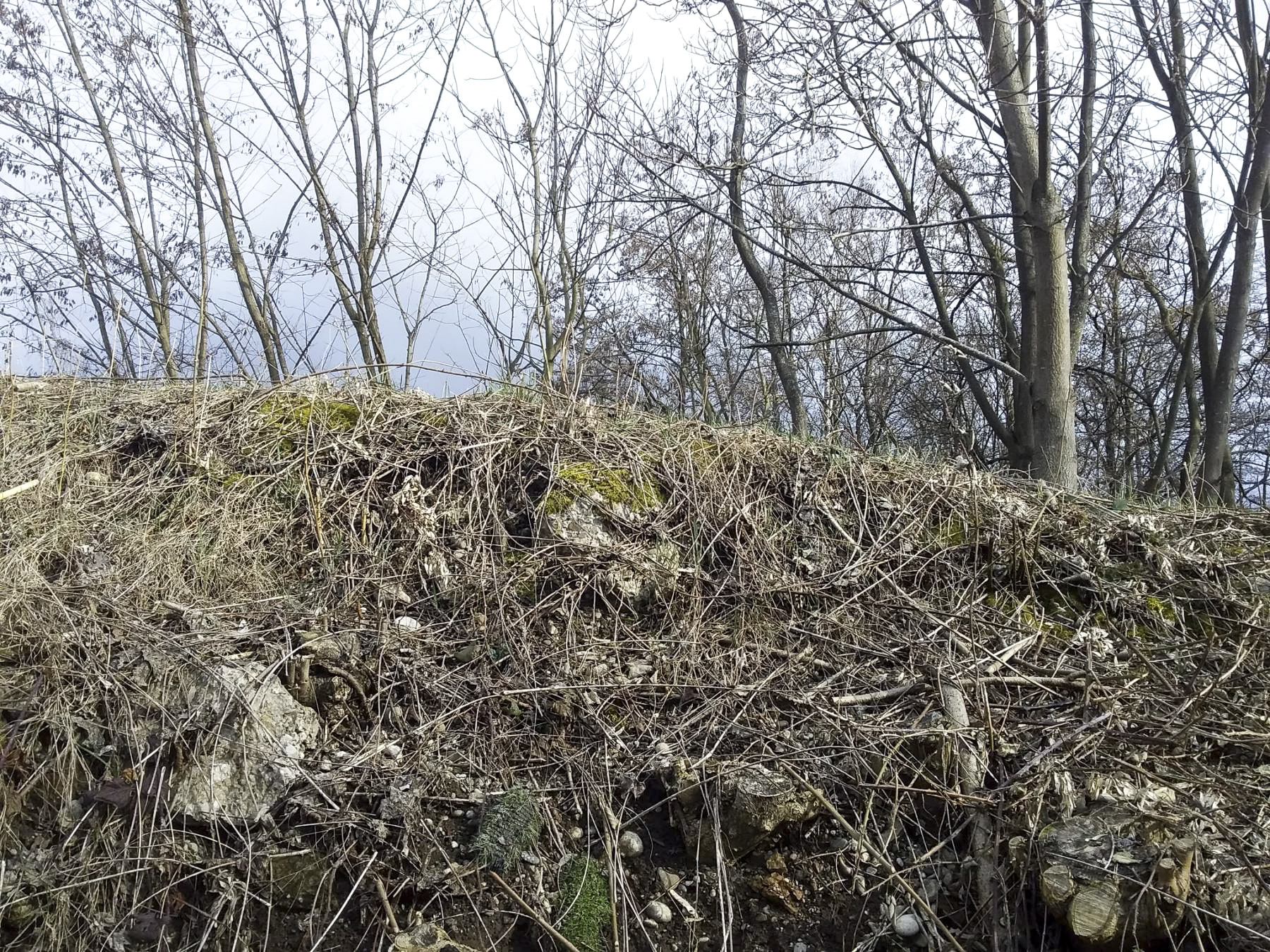 Ligne Maginot - 37/3 - ARTZENHEIM SUD - (Casemate d'infanterie - Double) - 