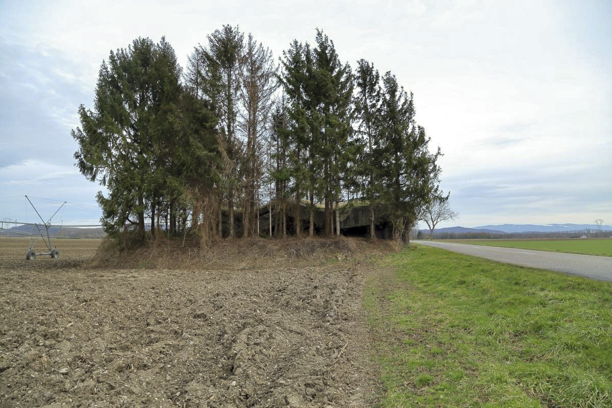 Ligne Maginot - 38/3 - BALTZENHEIM - (Casemate d'infanterie - Double) -  