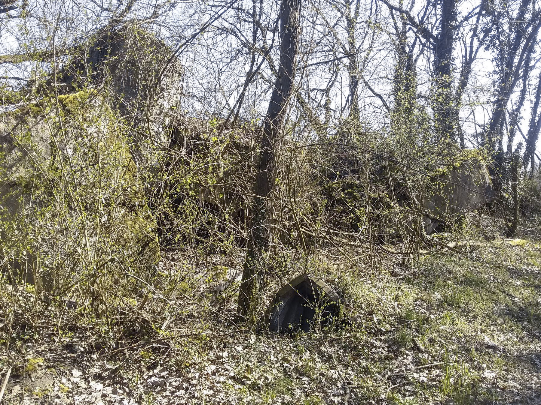 Ligne Maginot - 41/1 - SPONECK SUD - (Casemate d'infanterie - double) - Coté ouest