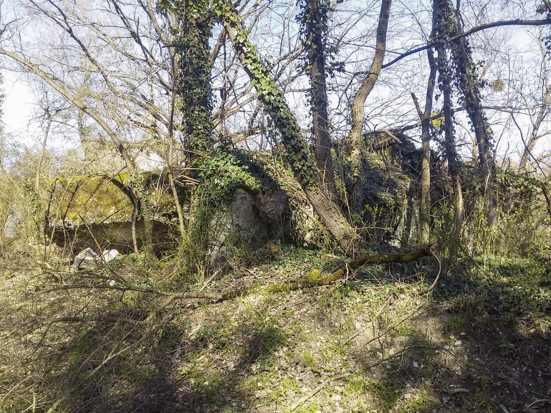 Ligne Maginot - 41/1 - SPONECK SUD - (Casemate d'infanterie - double) - Coté sud ouest