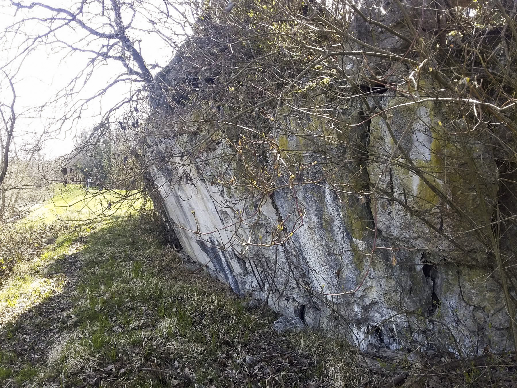 Ligne Maginot - 41/1 - SPONECK SUD - (Casemate d'infanterie - double) - Coté est, vue vers le sud