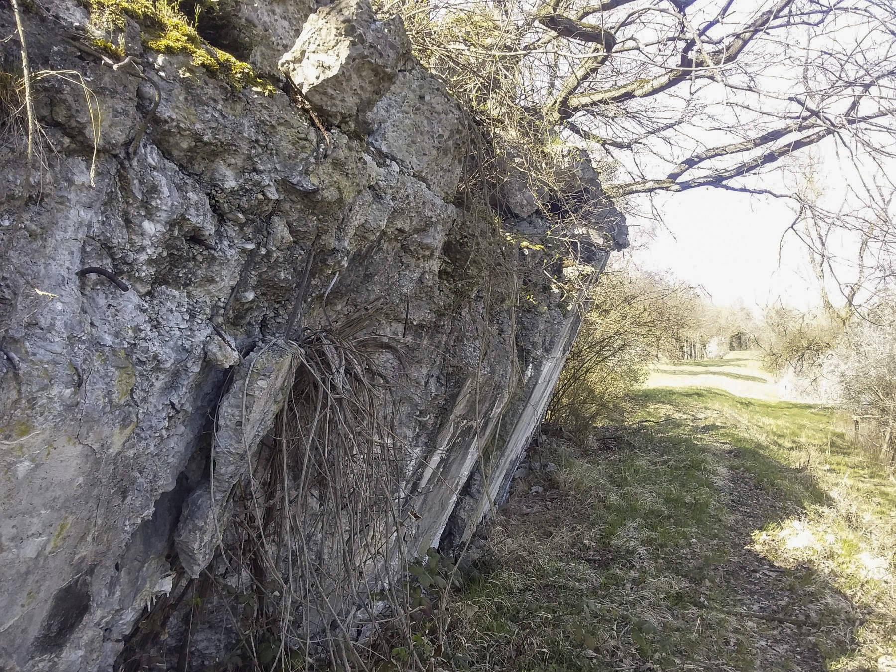 Ligne Maginot - 41/1 - SPONECK SUD - (Casemate d'infanterie - double) - Coté est, vue vers le nord
