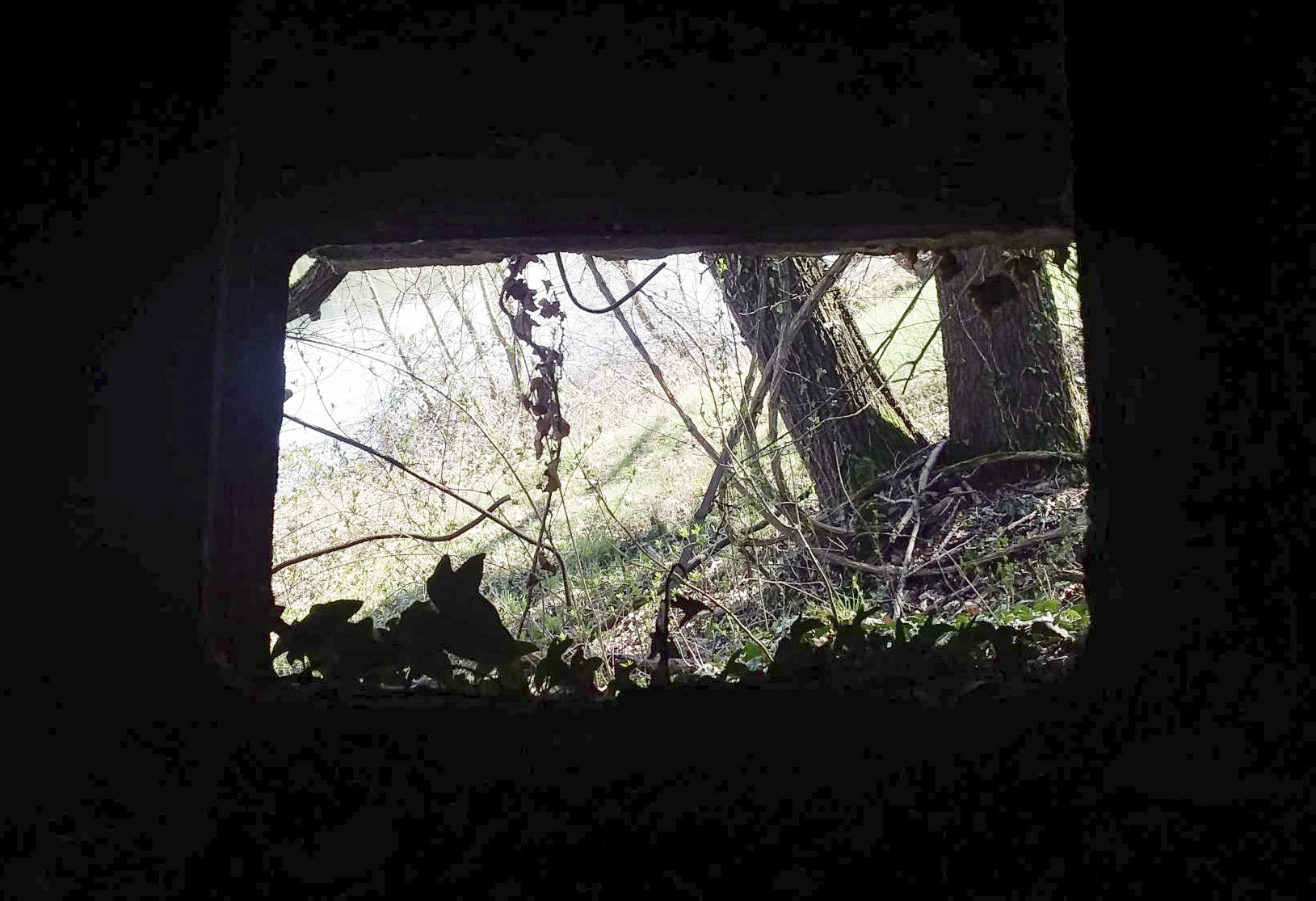 Ligne Maginot - 41/1 - SPONECK SUD - (Casemate d'infanterie - double) - Vue vers le sud