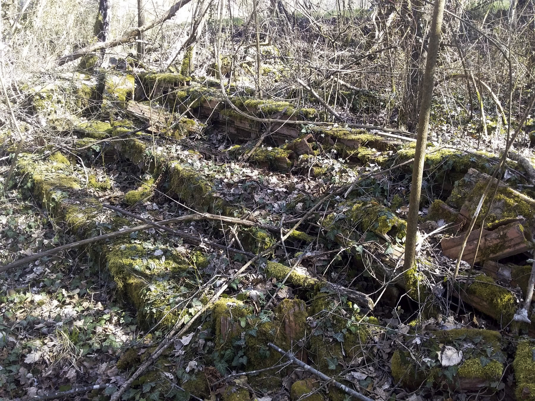 Ligne Maginot - 45/1 - SPONECK NORD - (Casemate d'infanterie - double) - Reste d'un abri coté ouest