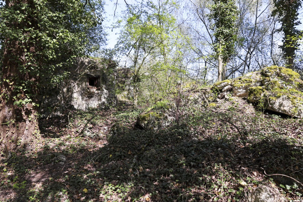 Ligne Maginot - 46/1 - LIMBOURG SUD - (Casemate d'infanterie - Double) - Vue générale