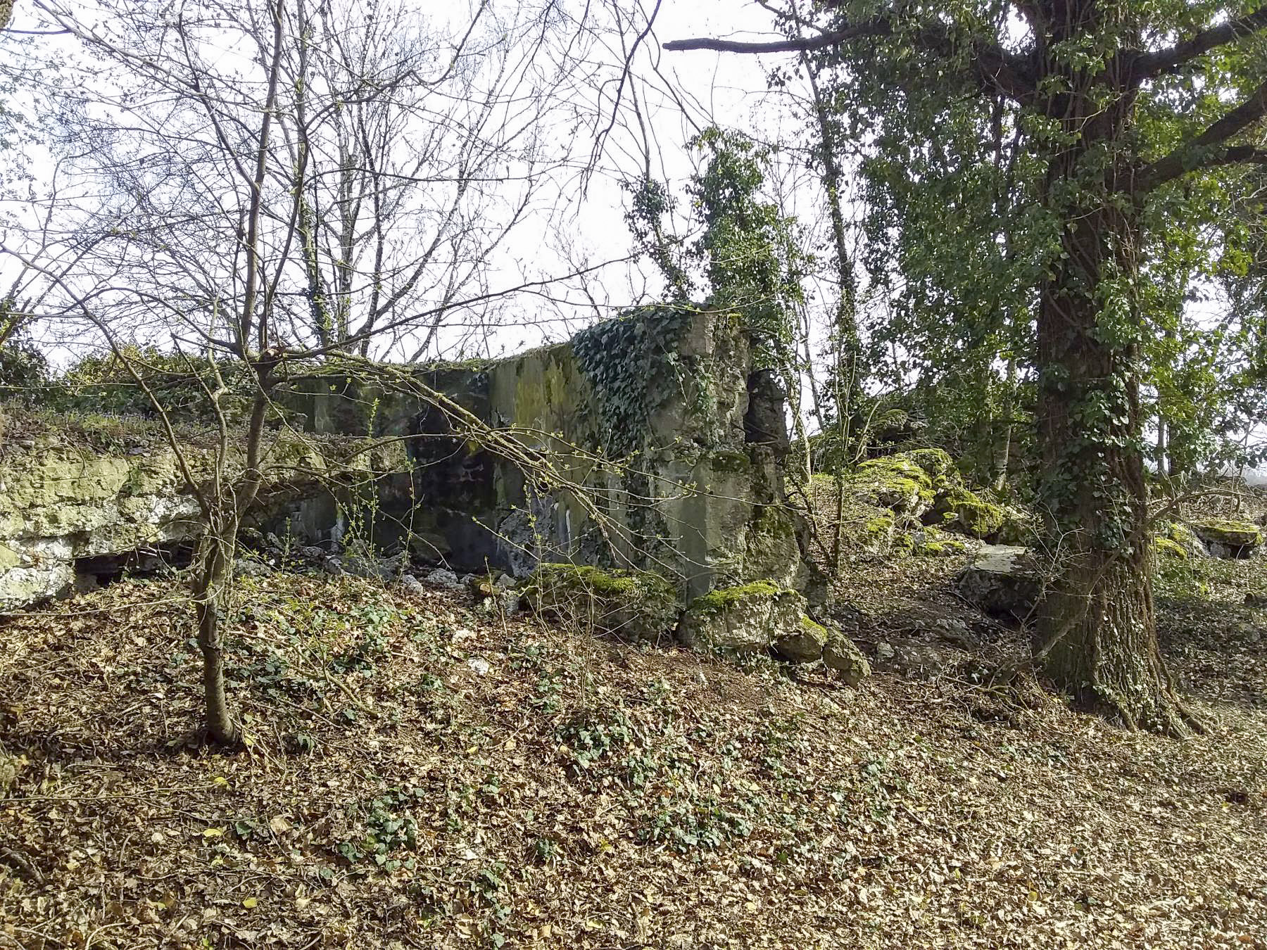 Ligne Maginot - 46/1 - LIMBOURG SUD - (Casemate d'infanterie - Double) - Vue coté nord vers le sud