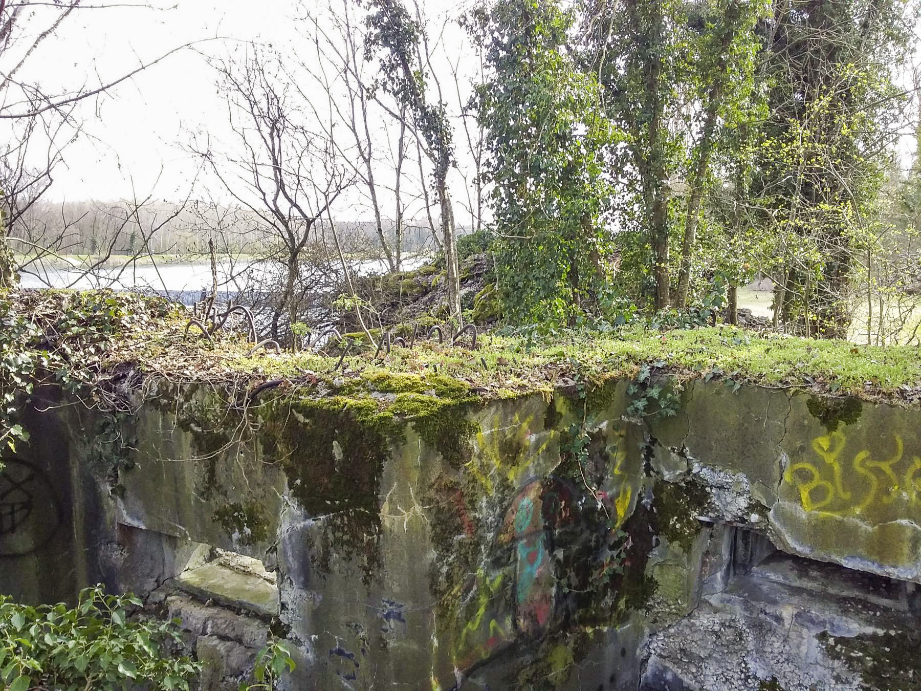 Ligne Maginot - 46/1 - LIMBOURG SUD - (Casemate d'infanterie - Double) - Vue coté nord 