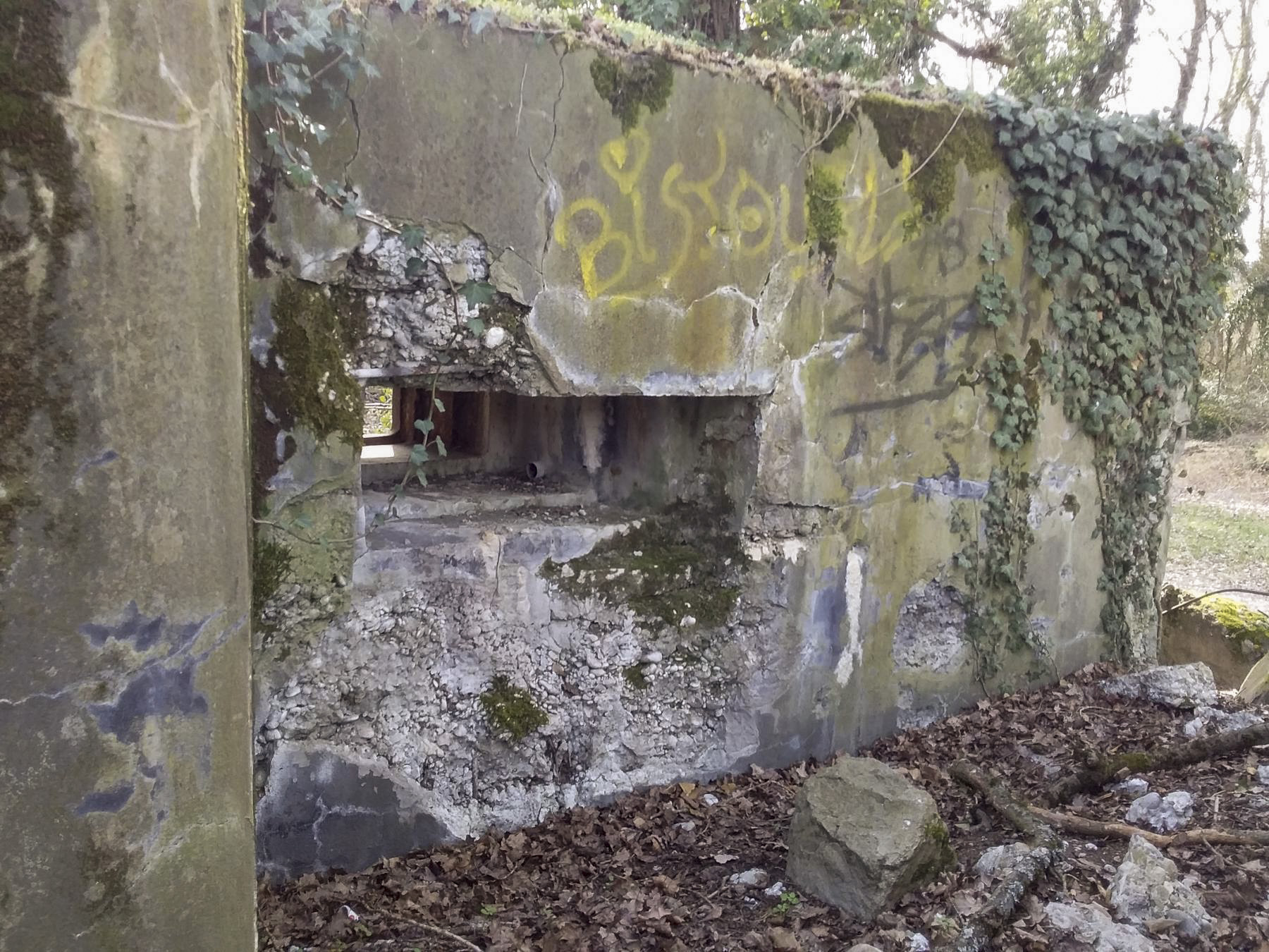 Ligne Maginot - 46/1 - LIMBOURG SUD - (Casemate d'infanterie - Double) - Vue coté nord 