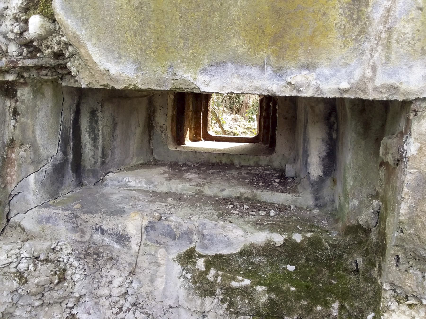 Ligne Maginot - 46/1 - LIMBOURG SUD - (Casemate d'infanterie - Double) - Vue coté nord 