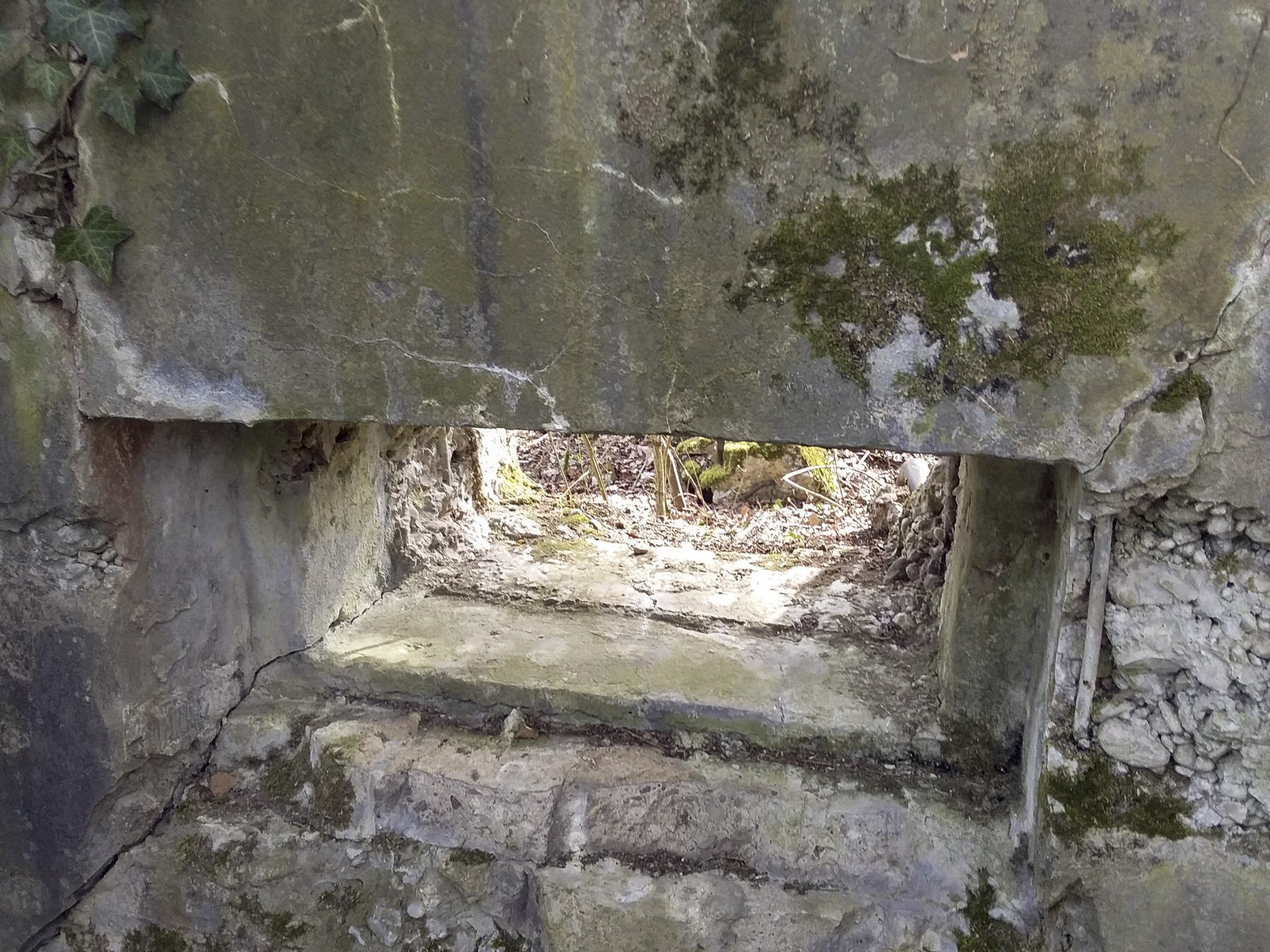 Ligne Maginot - 46/1 - LIMBOURG SUD - (Casemate d'infanterie - Double) - Vue coté nord 