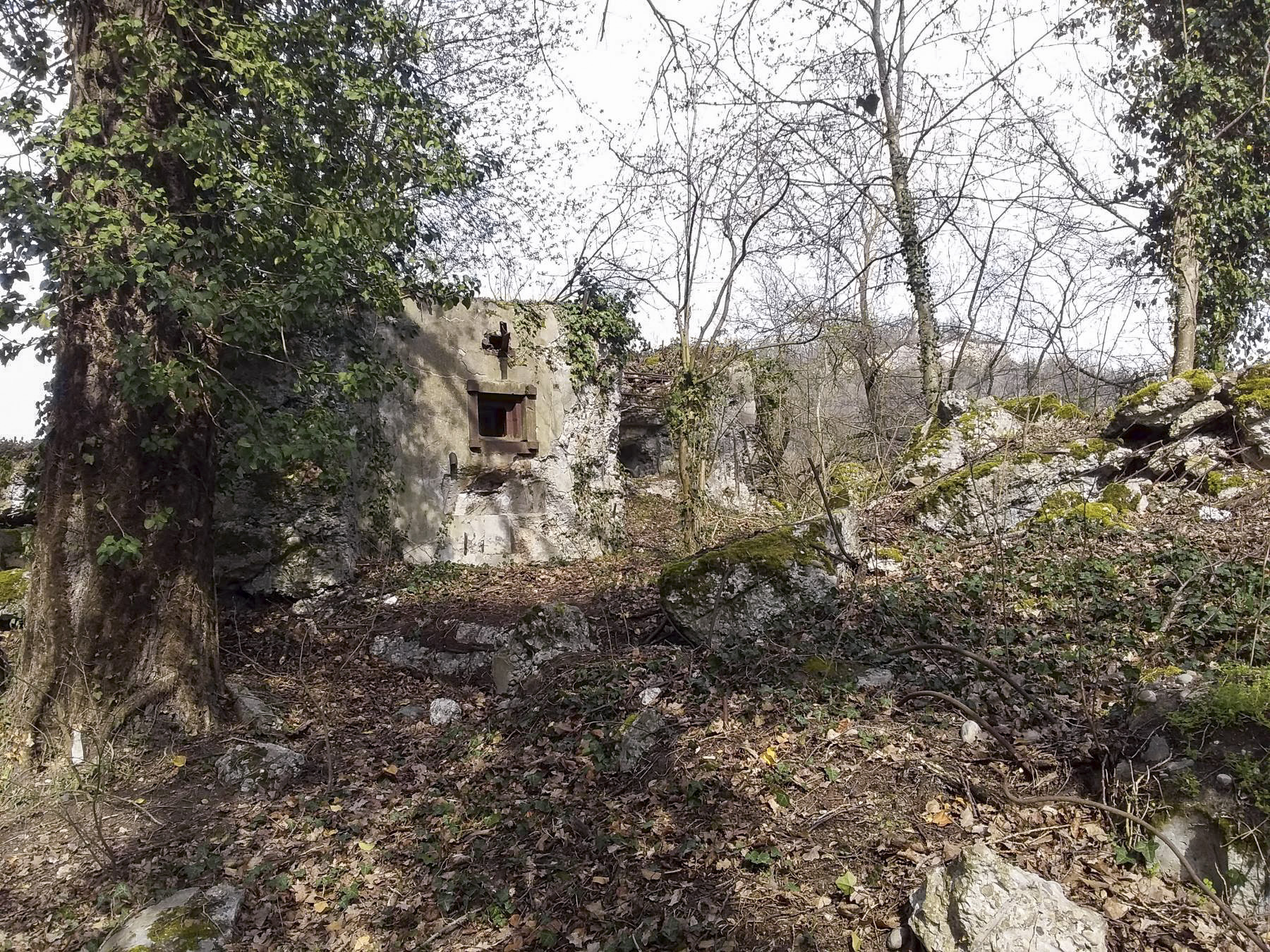 Ligne Maginot - 46/1 - LIMBOURG SUD - (Casemate d'infanterie - Double) - Vue coté sud
