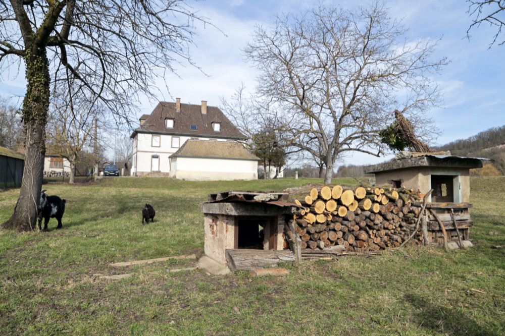 Ligne Maginot - 46A/1 - LIMBOURG PONT - (Abri) - Niches de stockage extérieur