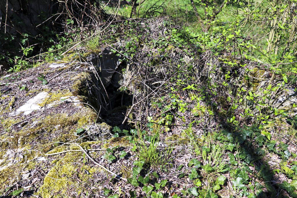 Ligne Maginot - PONT DE LIMBOURG 1 - (Blockhaus pour arme infanterie) - Puits de la coupole droite