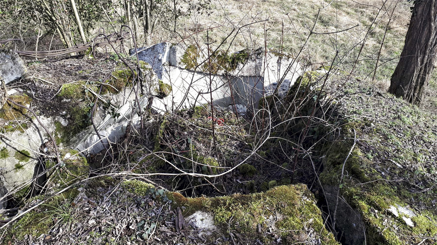 Ligne Maginot - PONT DE LIMBOURG 1 - (Blockhaus pour arme infanterie) - Puits de la coupole droite