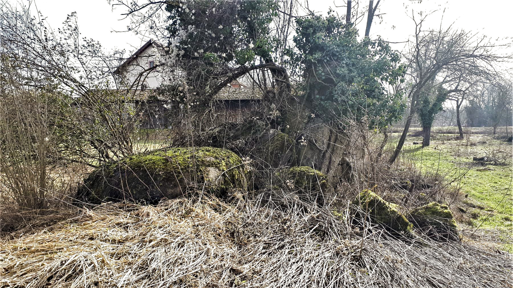 Ligne Maginot - PONT DE LIMBOURG 1 - (Blockhaus pour arme infanterie) - La coupole gauche