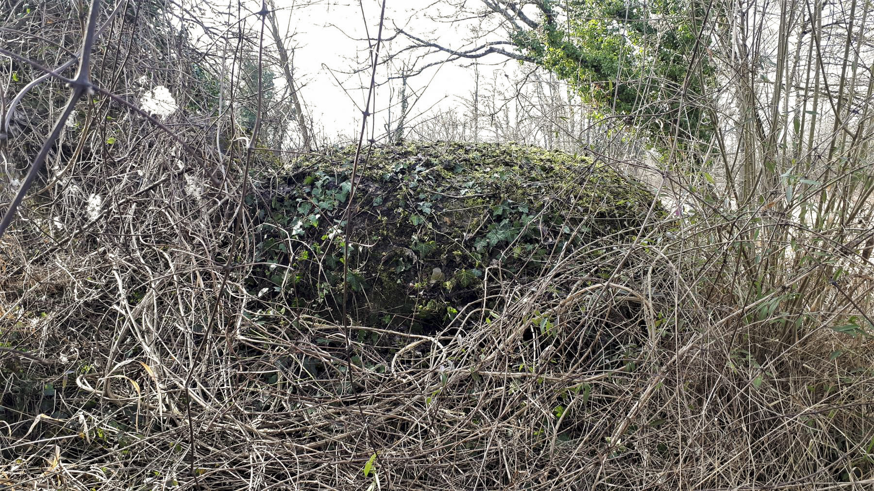 Ligne Maginot - PONT DE LIMBOURG 1 - (Blockhaus pour arme infanterie) - La coupole gauche