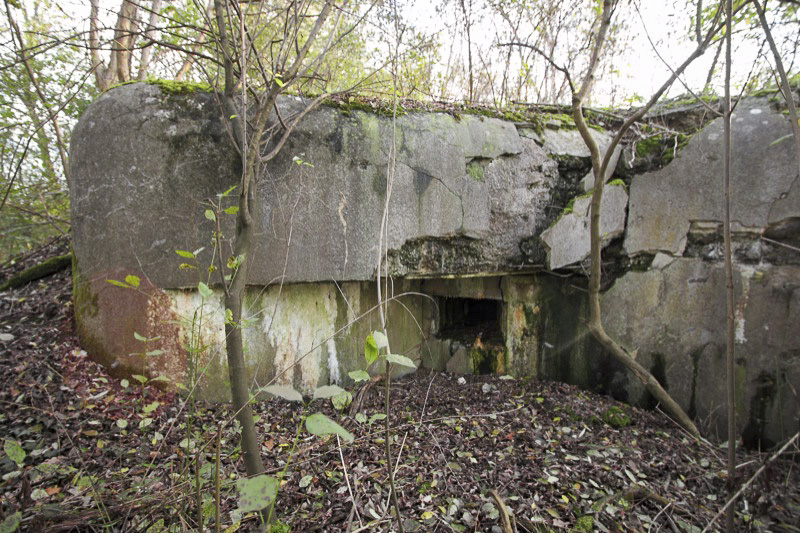 Ligne Maginot - B66 - OBERWEIDE - (Blockhaus pour arme infanterie) - Vue générale de la façade nord