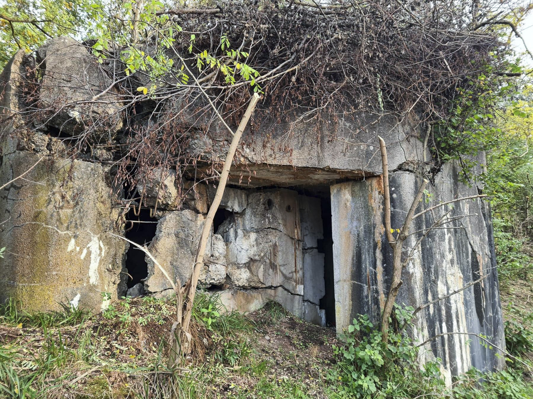 Ligne Maginot - B66 - OBERWEIDE - (Blockhaus pour arme infanterie) - Entrée