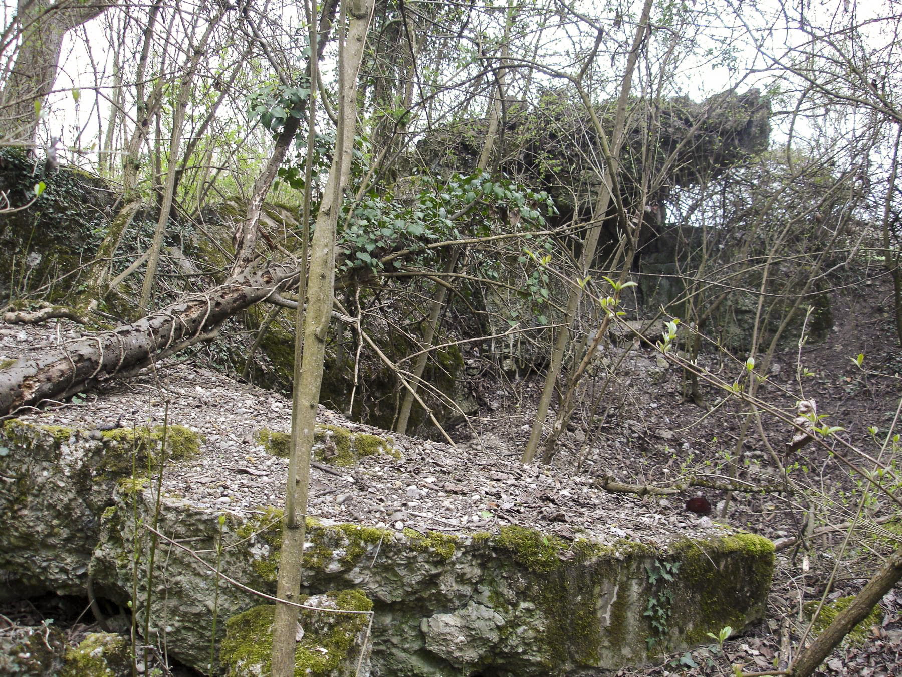 Ligne Maginot - B96 - ARTOLSHEIM EST 1 - (Blockhaus pour arme infanterie) - 