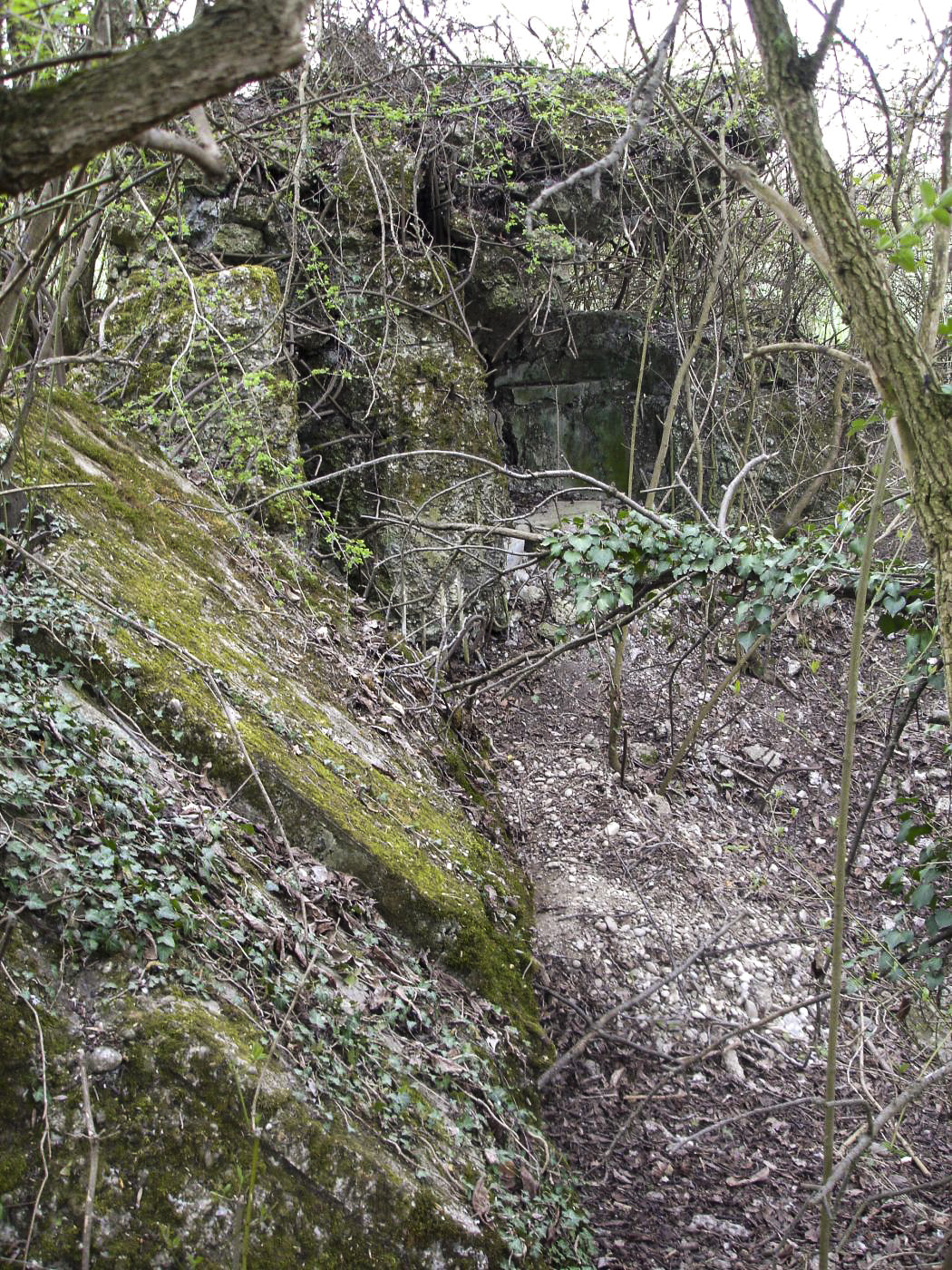 Ligne Maginot - B96 - ARTOLSHEIM EST 1 - (Blockhaus pour arme infanterie) - 