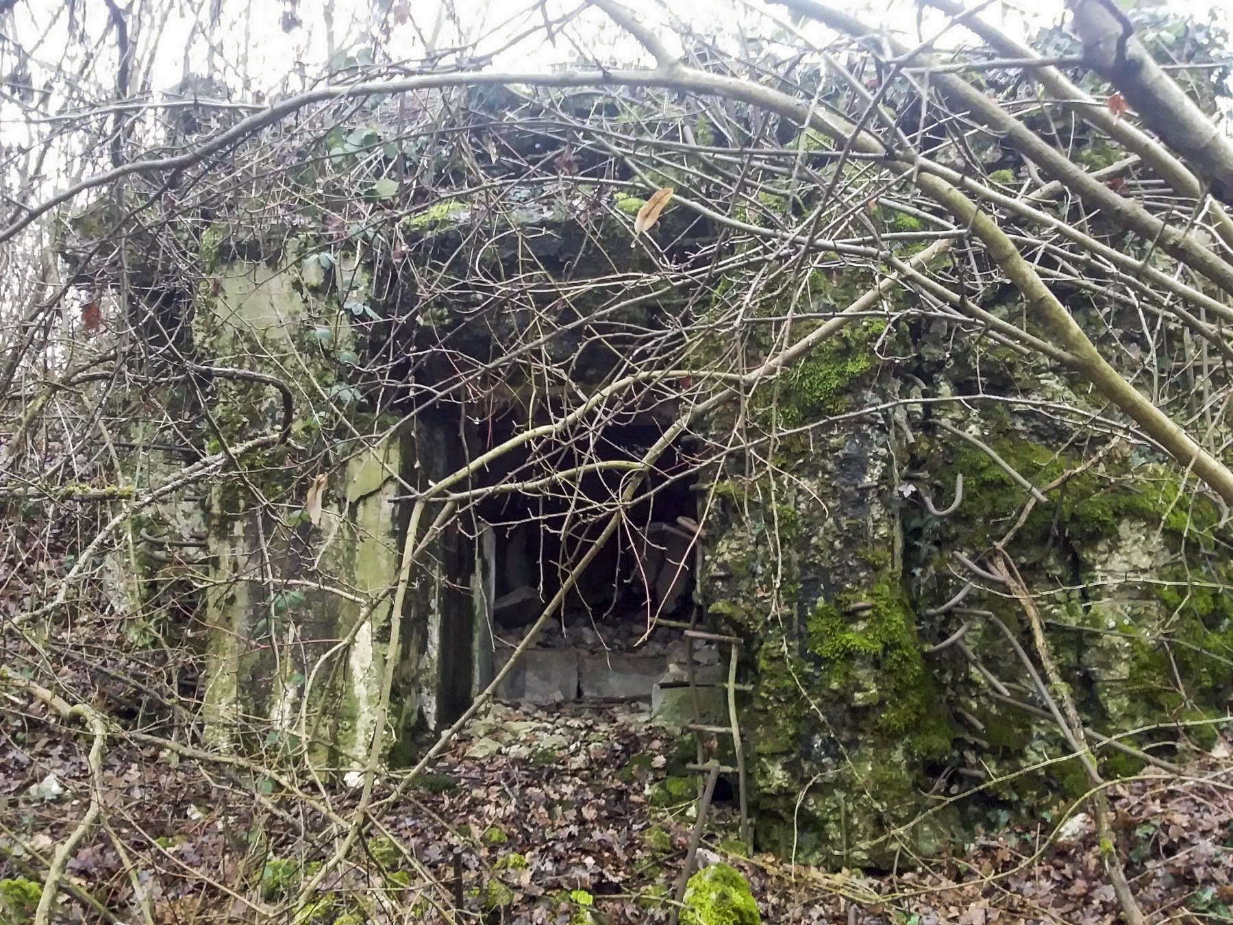 Ligne Maginot - B97 - ARTOLSHEIM EST 2 - (Blockhaus pour arme infanterie) - 