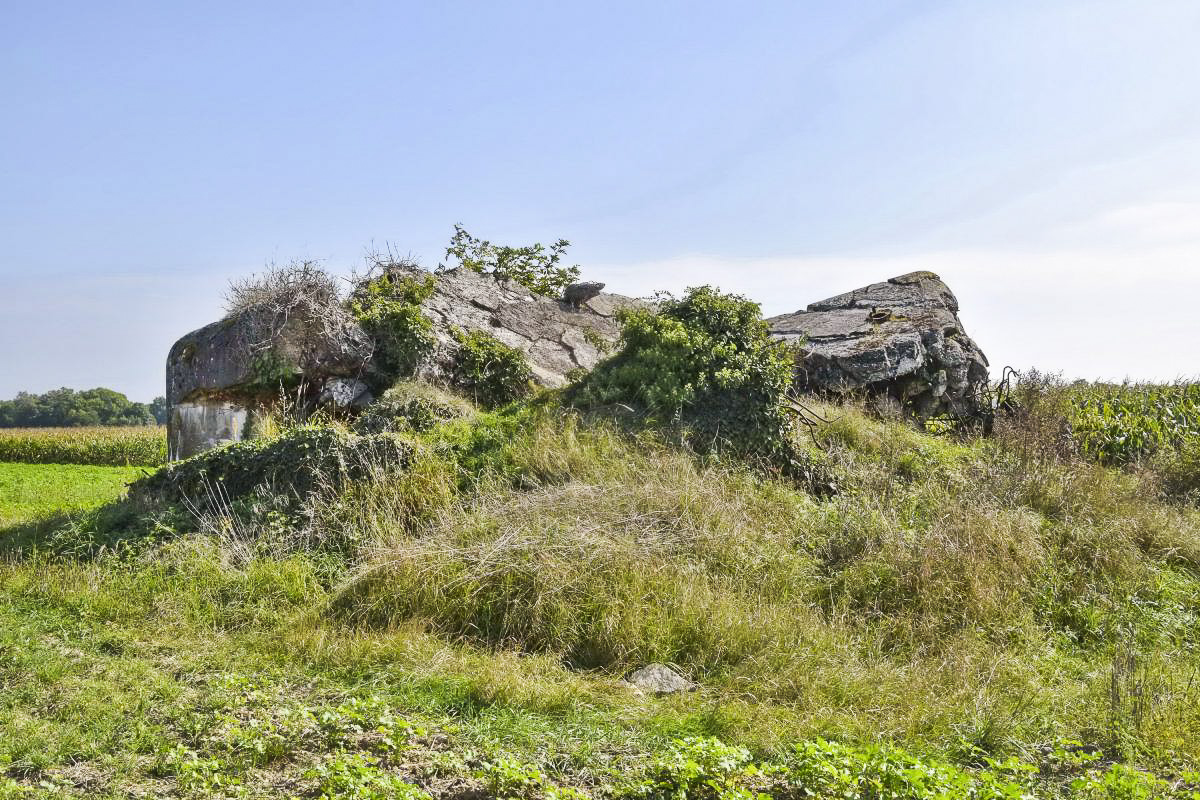 Ligne Maginot - B105 - MACKENHEIM EST - (Blockhaus pour arme infanterie) - Façade ouest