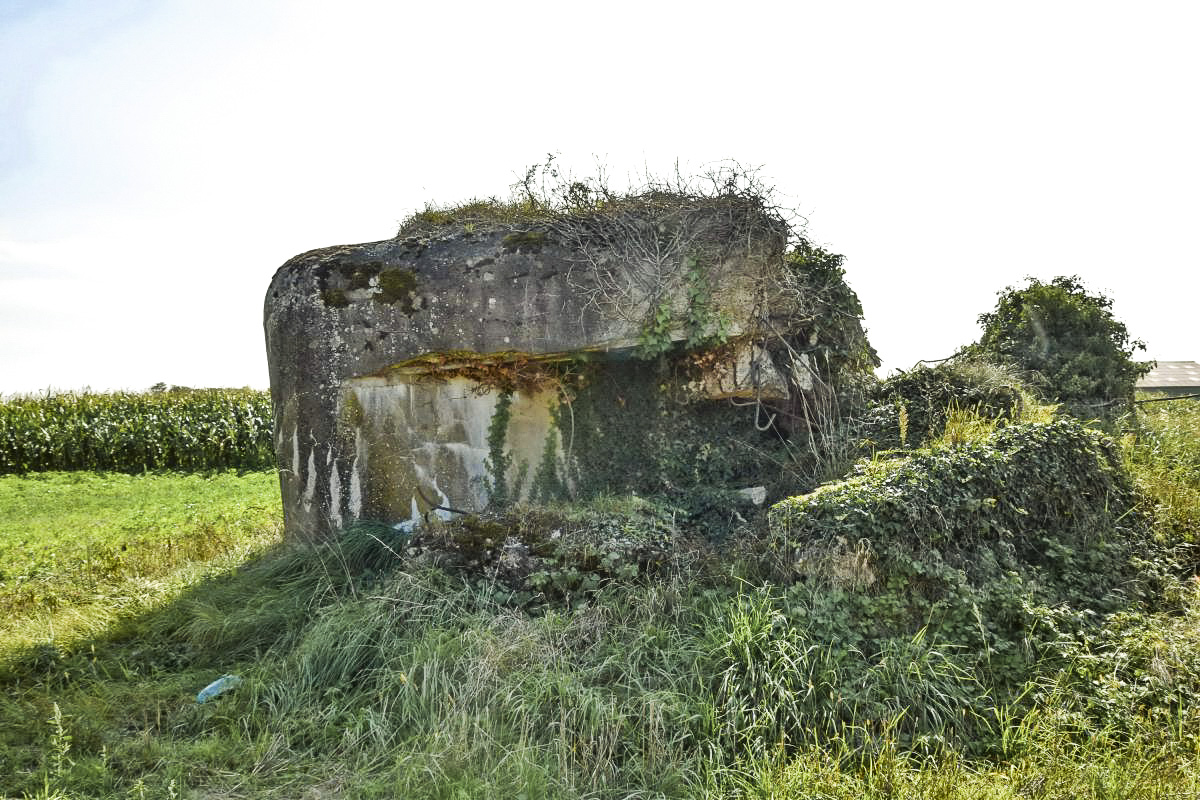 Ligne Maginot - B105 - MACKENHEIM EST - (Blockhaus pour arme infanterie) - Créneau nord