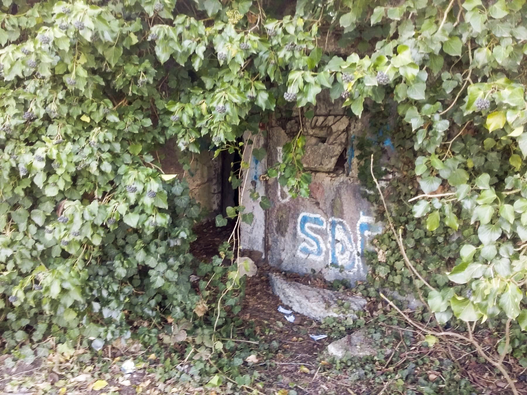 Ligne Maginot - B241 - ECLUSE 71 NORD - (Blockhaus pour arme infanterie) - 