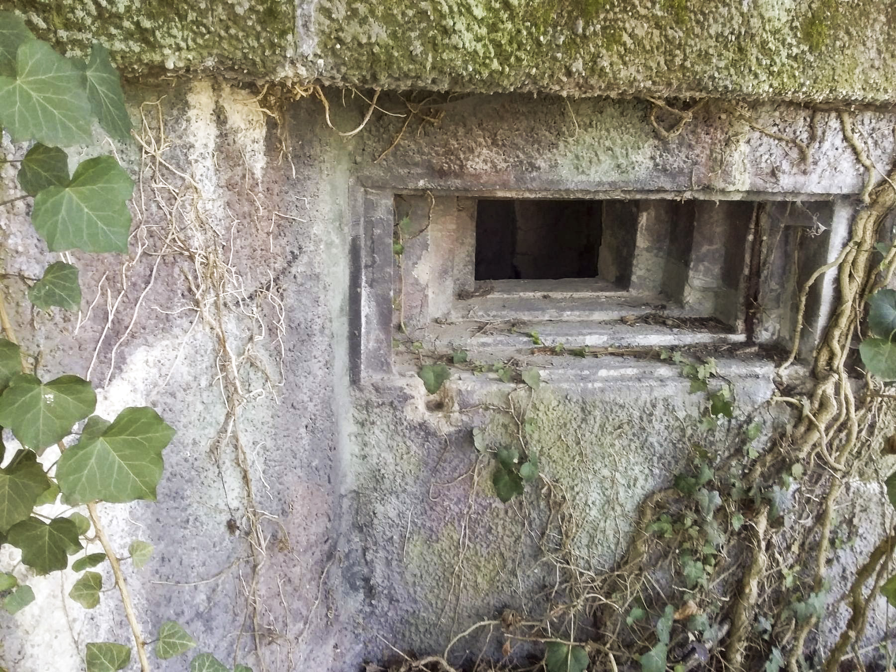Ligne Maginot - B241 - ECLUSE 71 NORD - (Blockhaus pour arme infanterie) - 