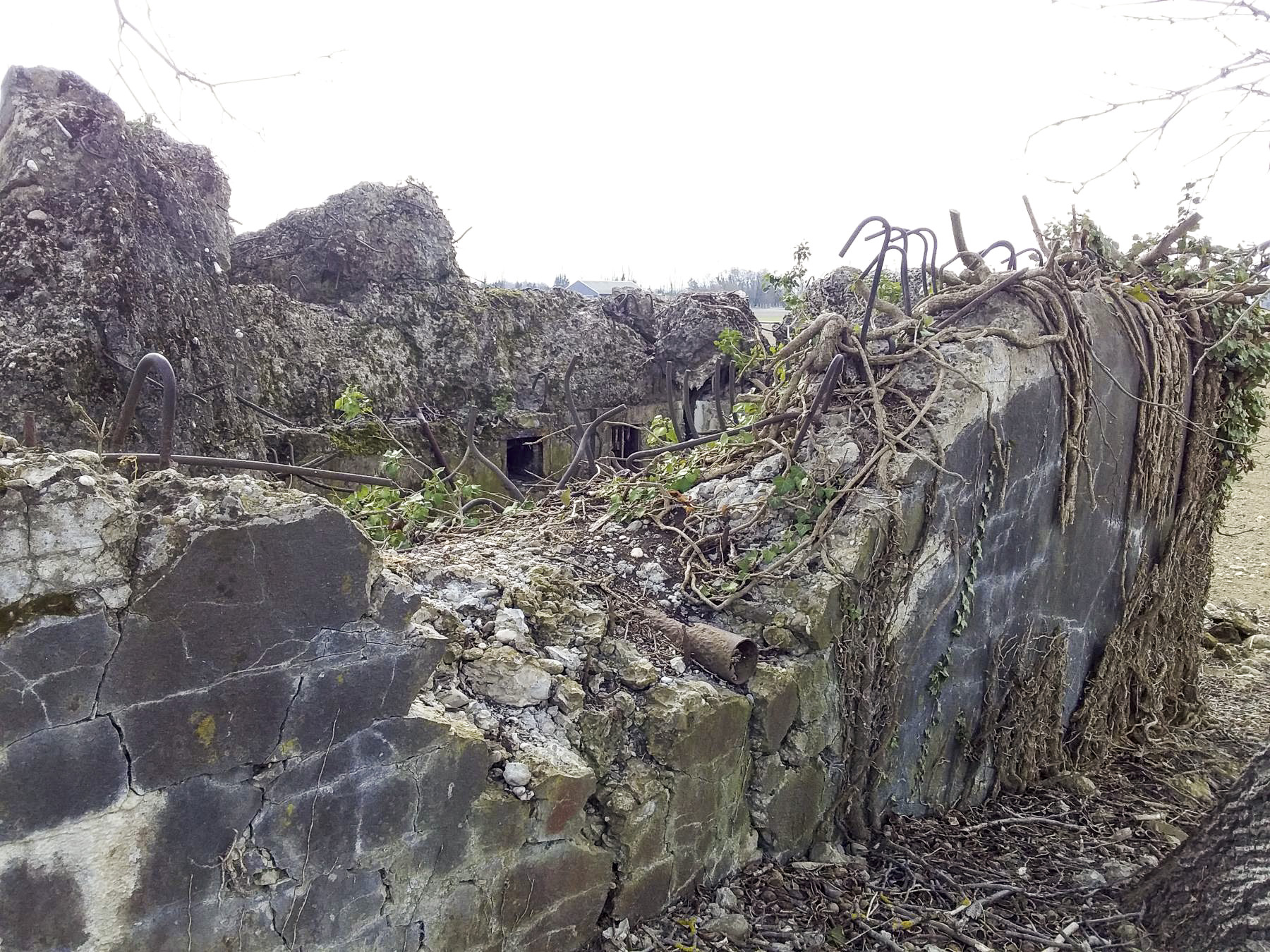 Ligne Maginot - B609 - ROSENWEIERHOF - (Blockhaus pour arme infanterie) - 