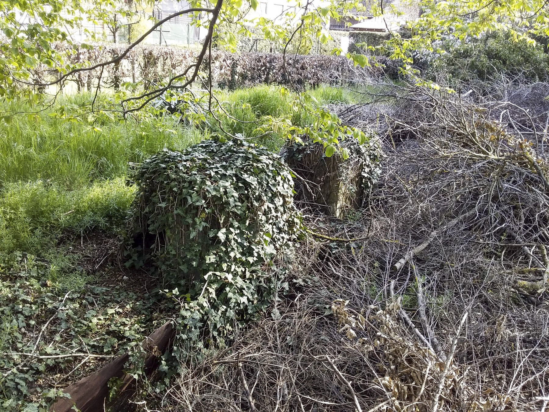 Ligne Maginot - BALDENHEIM (42° RIF PUIS 242° RI) - (PC de Sous-Secteur) - Reste de l'abri 3