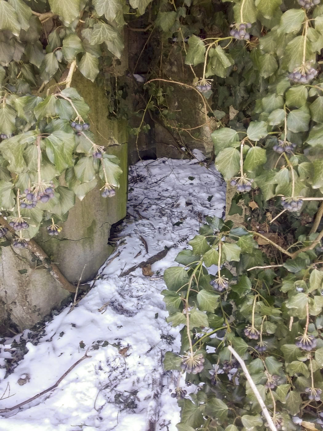 Ligne Maginot - BOOTZHEIM NORD 1 - (Blockhaus pour arme infanterie) - 