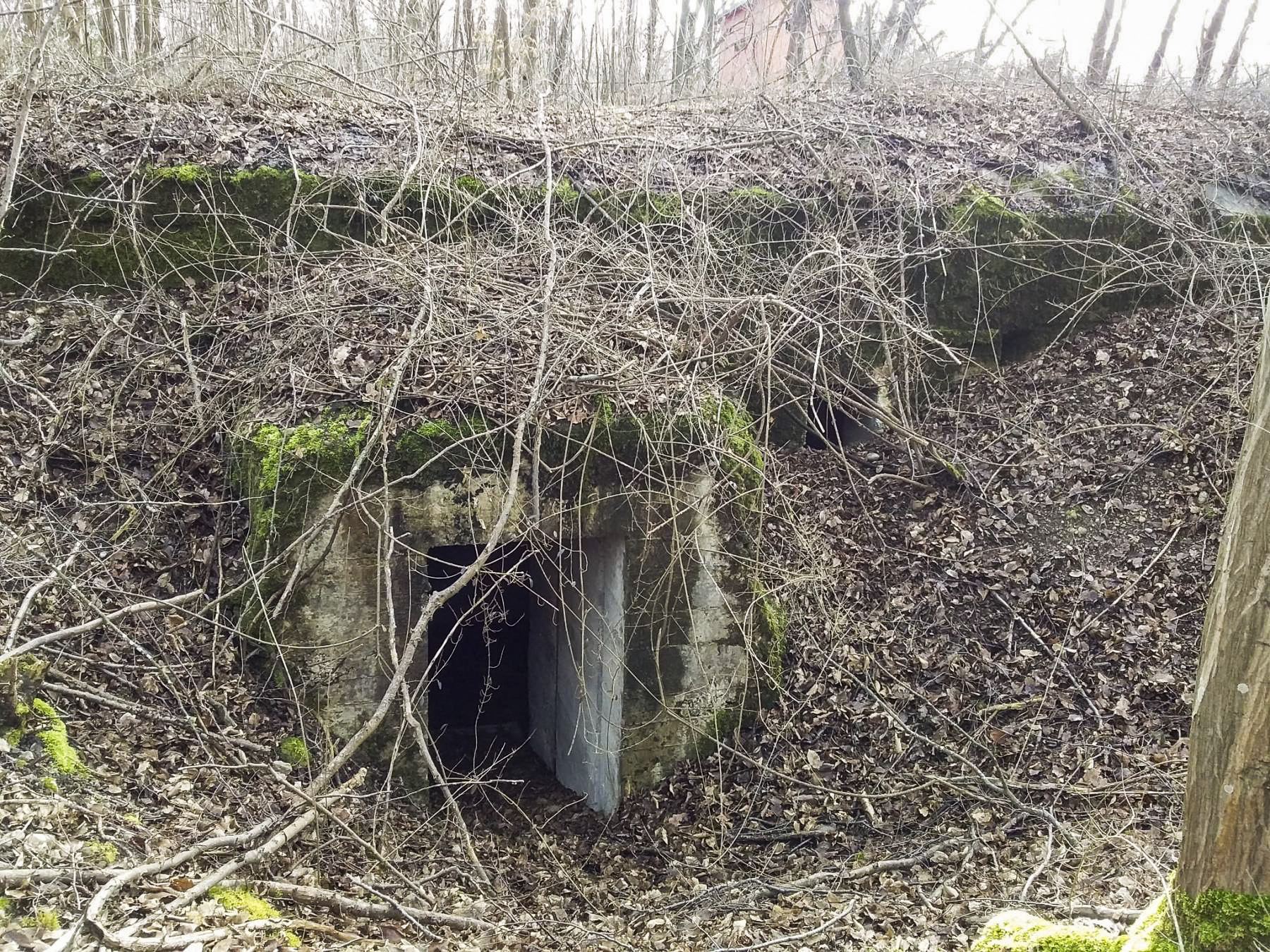 Ligne Maginot - ECLUSE 63 (CM5/II/42° RIF) - (PC de Sous-Quartier) - 