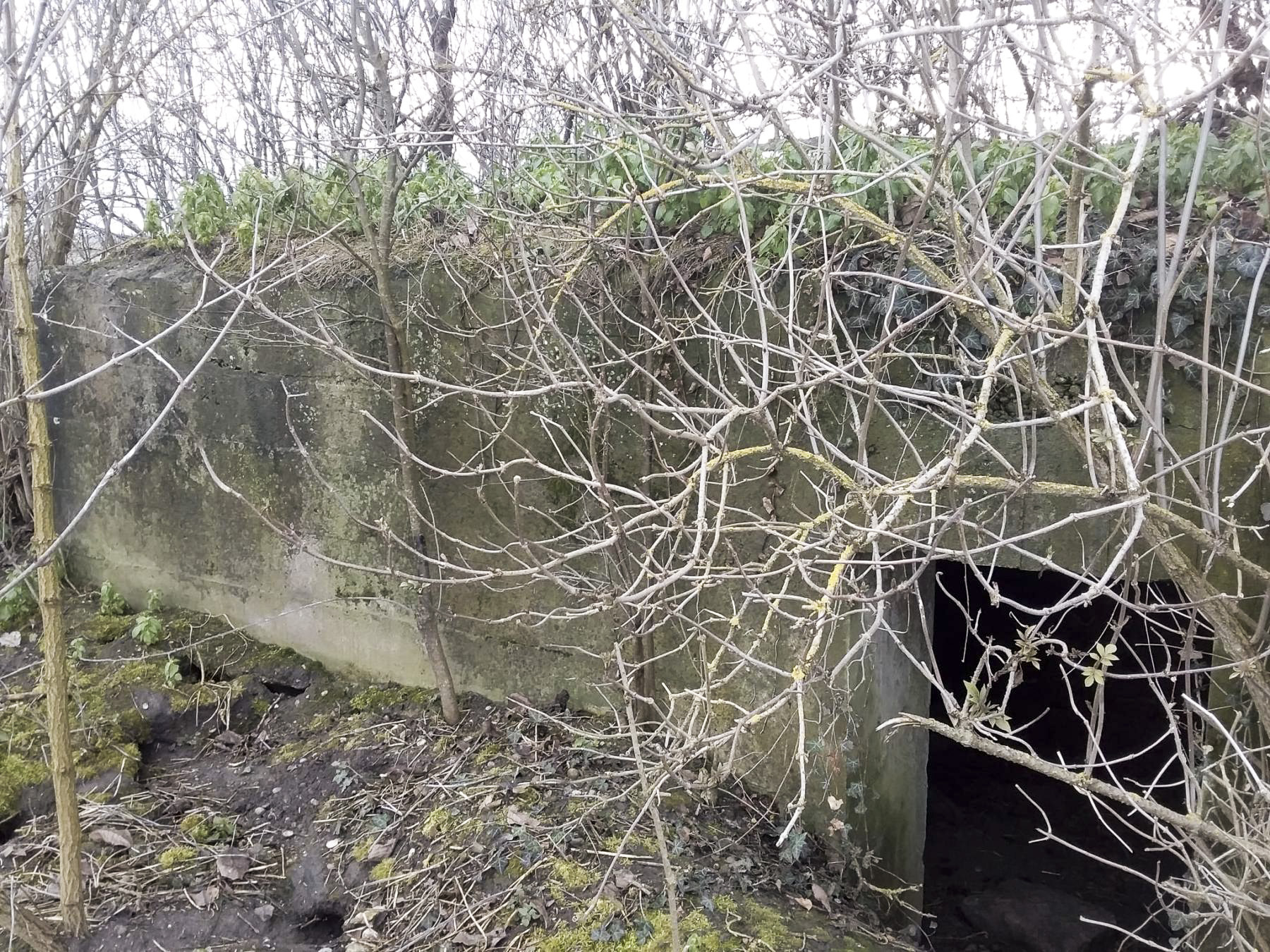 Ligne Maginot - ELSENHEIM 1 - (Abri) - 