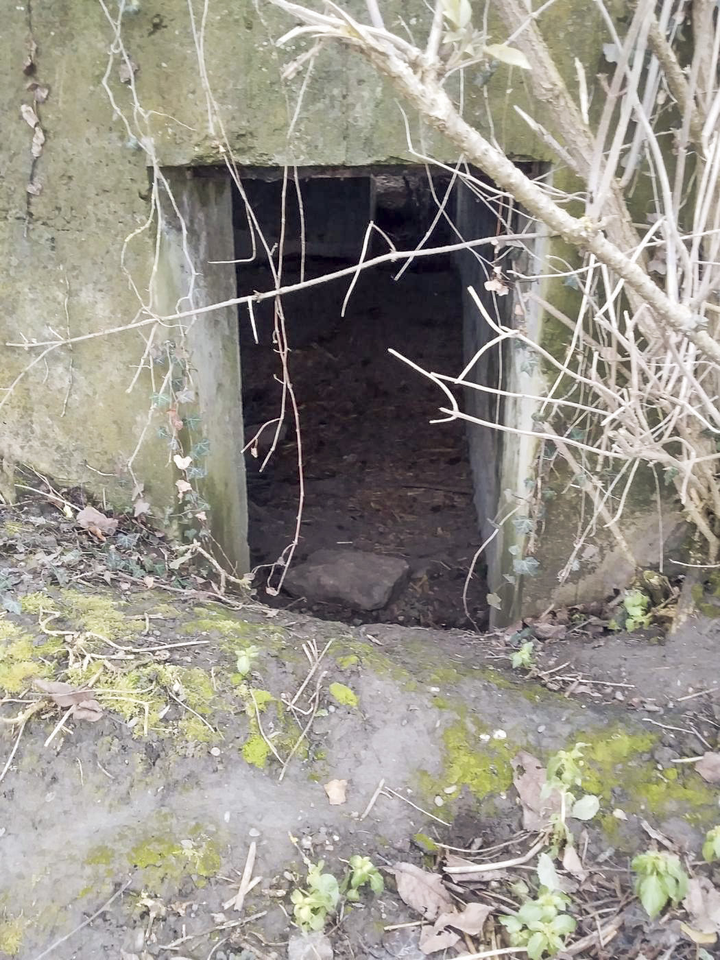 Ligne Maginot - ELSENHEIM 1 - (Abri) - 