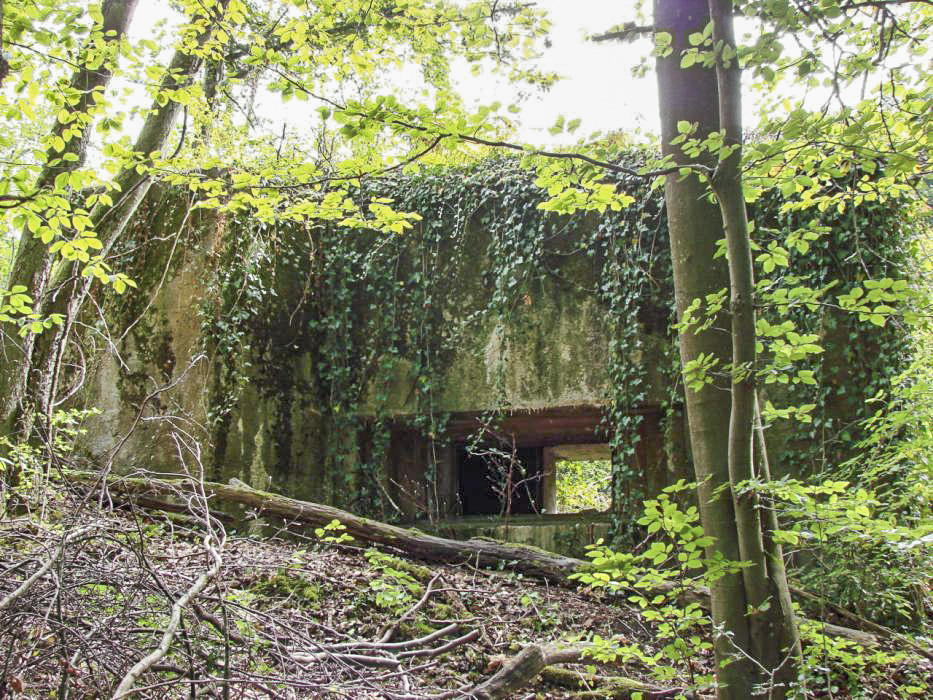 Ligne Maginot - CB105 - BROMACKER - (Blockhaus pour canon) - Vue de façade