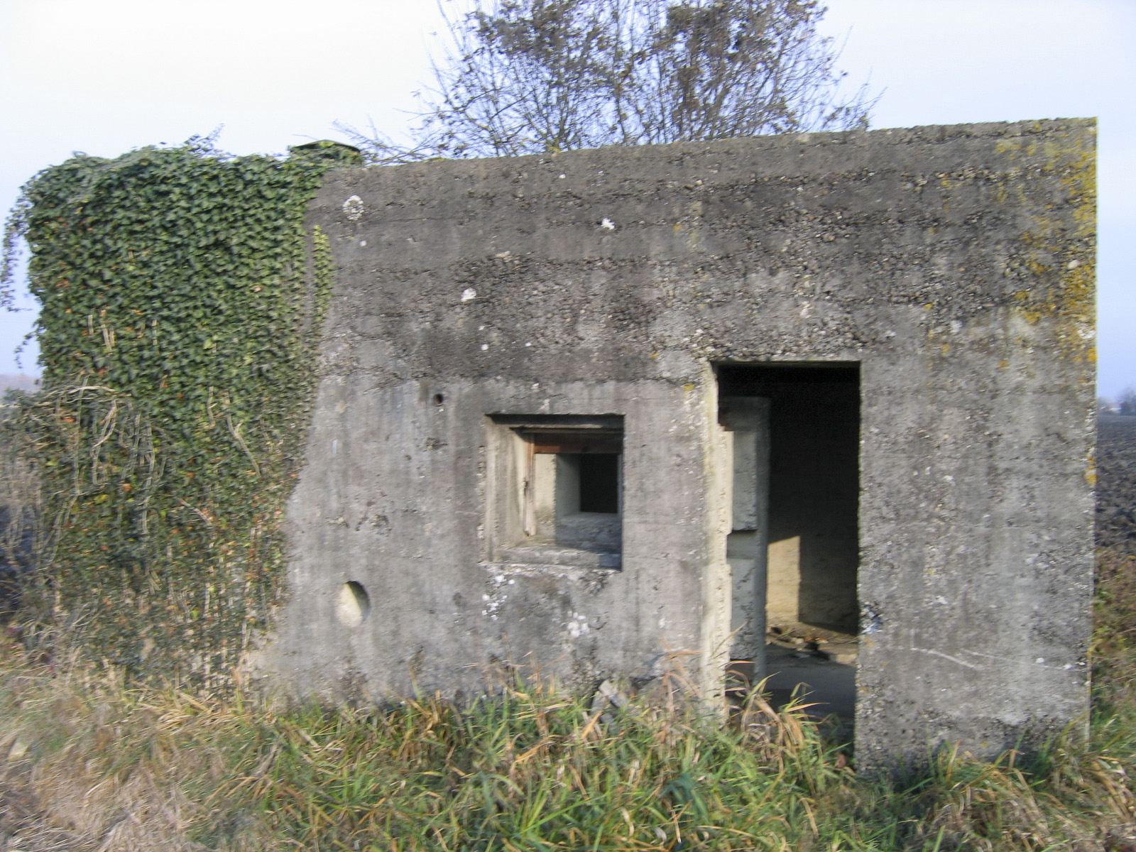 Ligne Maginot - HILGEN CENTRE - (Blockhaus pour canon) - 
