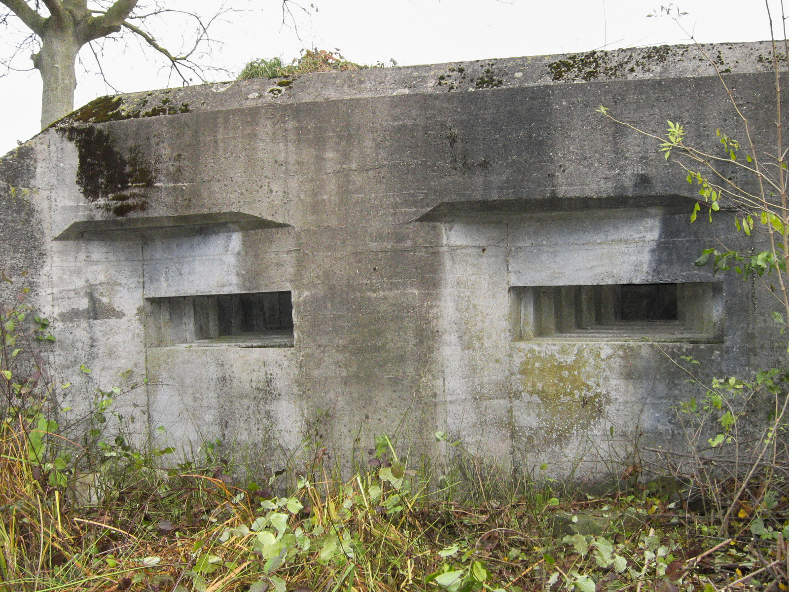 Ligne Maginot - HILGEN OUEST - (Blockhaus pour arme infanterie) - 