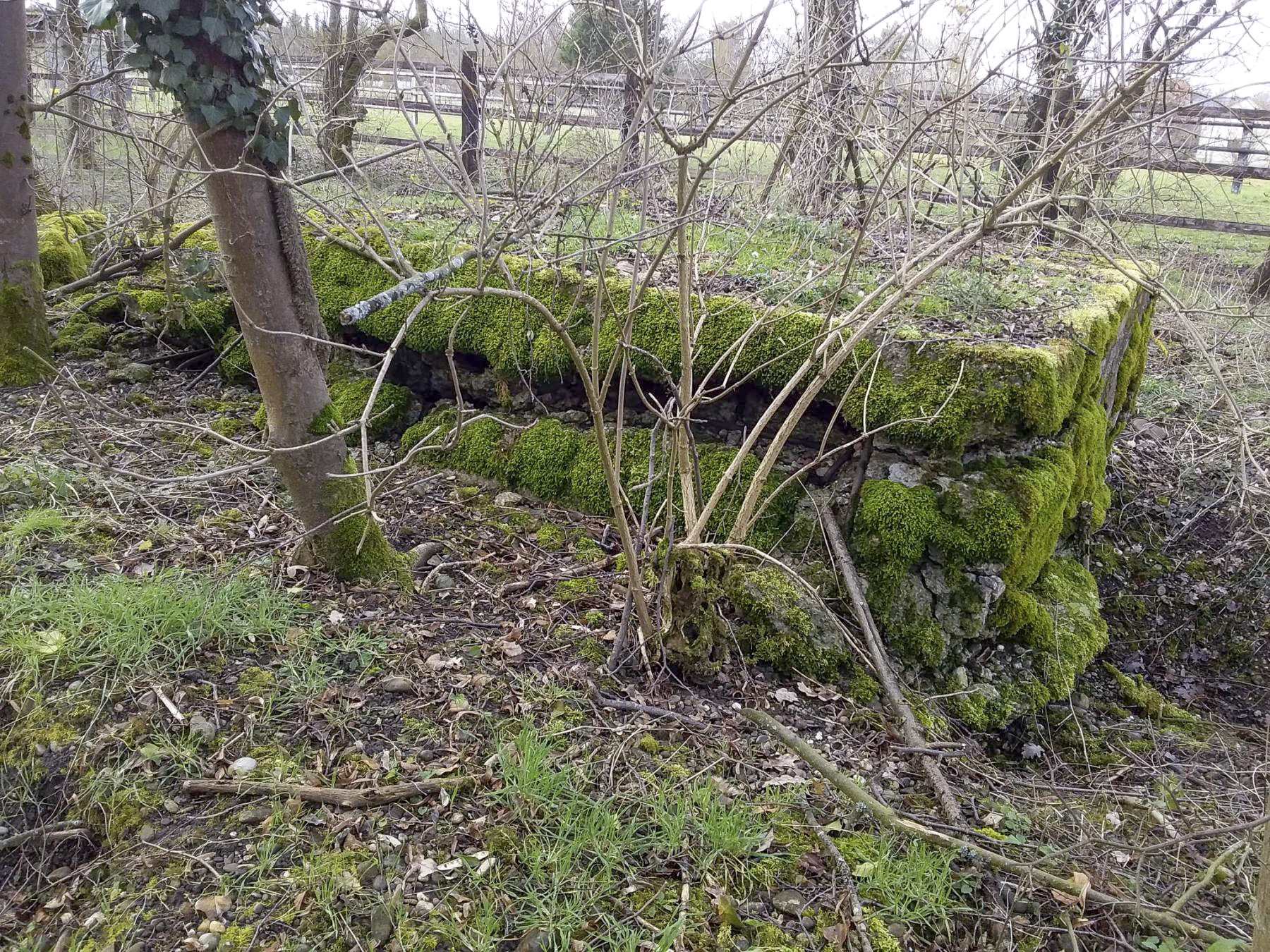 Ligne Maginot - MAUCHENE - (Abri) - 