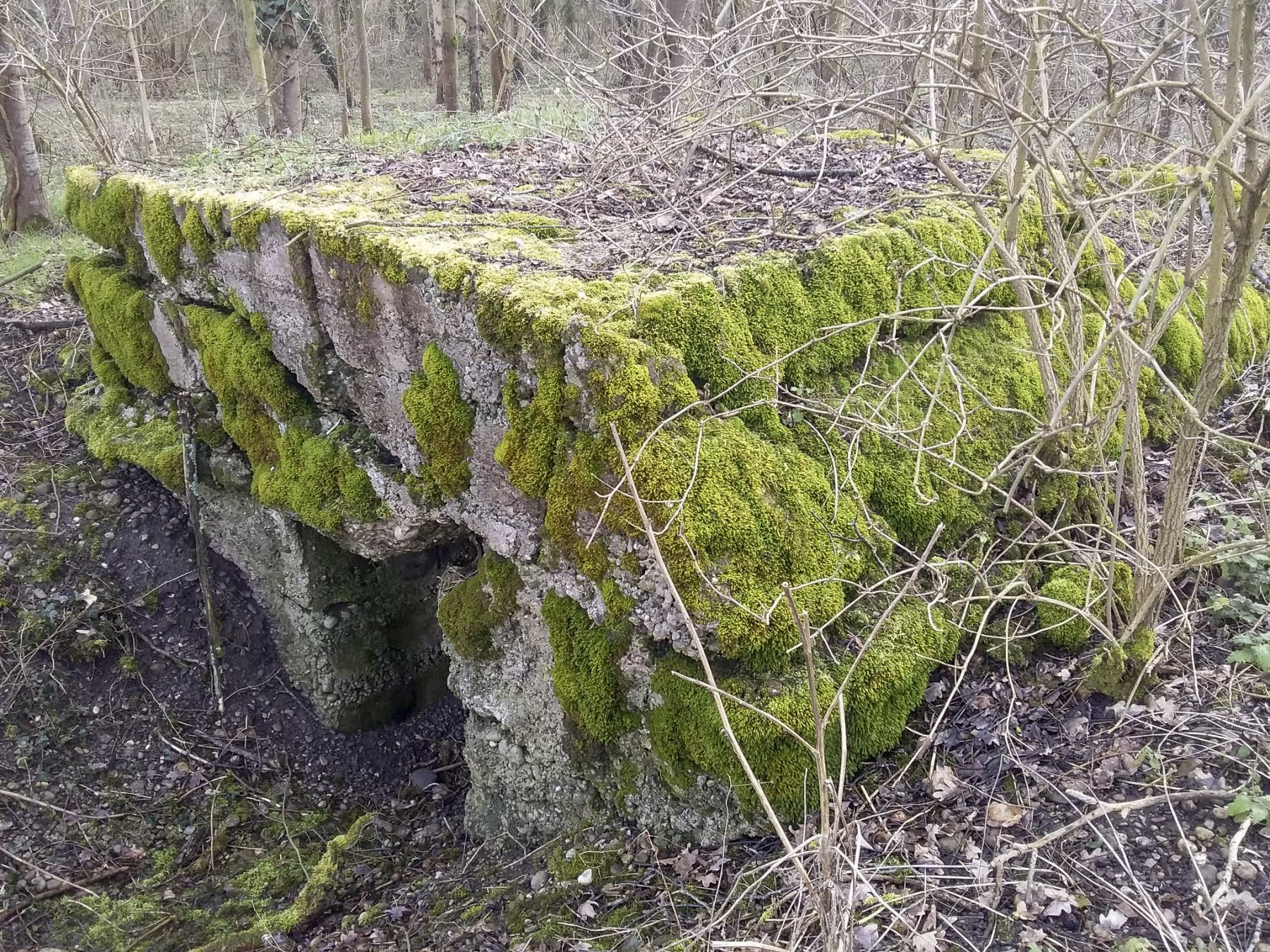 Ligne Maginot - MAUCHENE - (Abri) - 