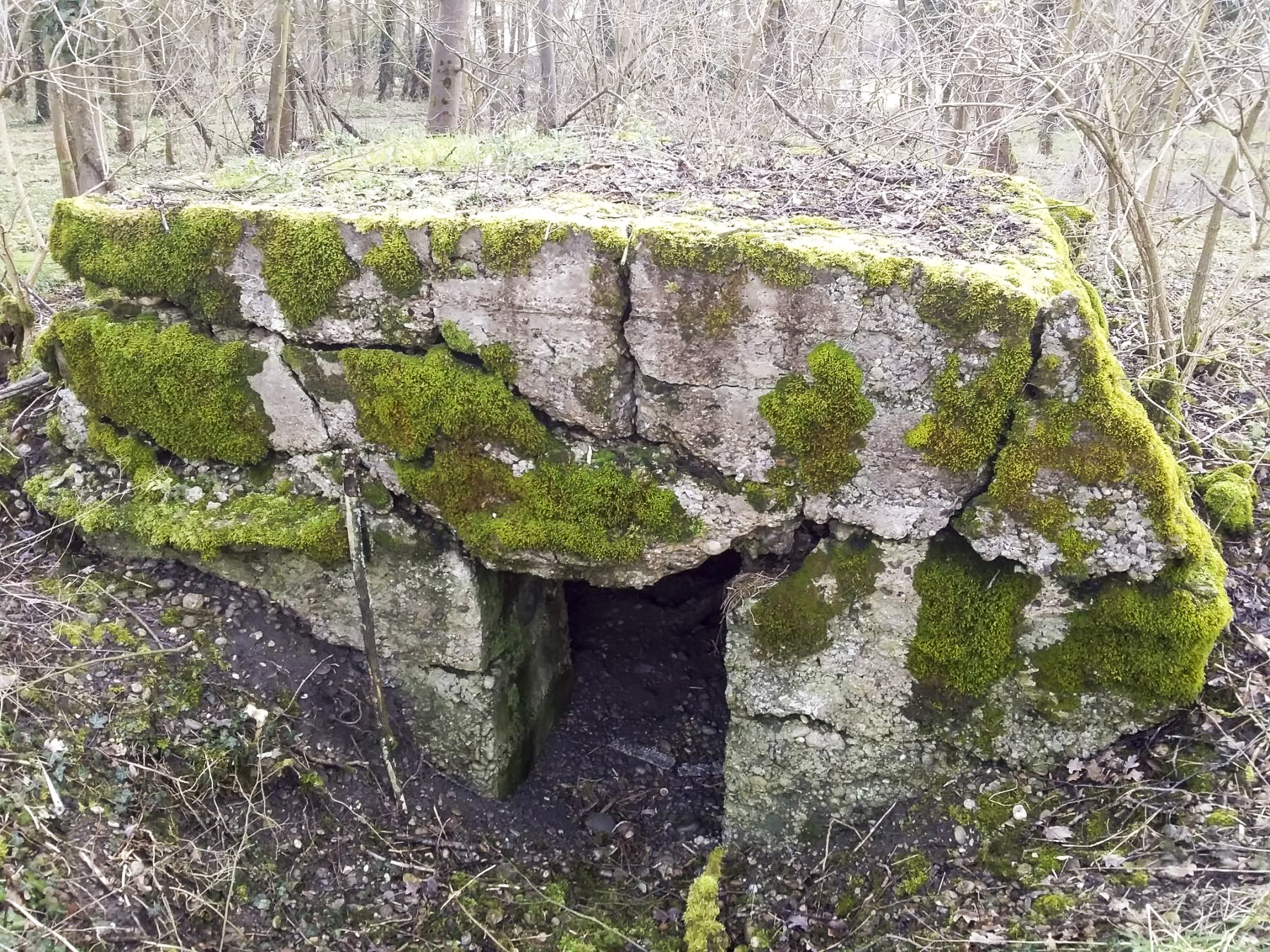 Ligne Maginot - MAUCHENE - (Abri) - 