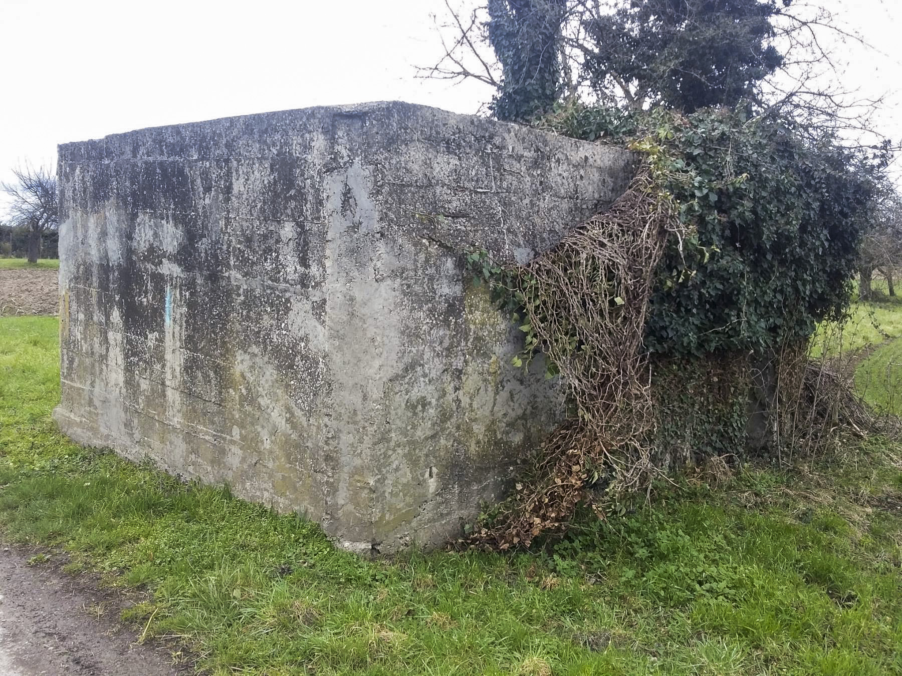 Ligne Maginot - ROUTE DE RIEDWIHR 2 - (Abri) - 