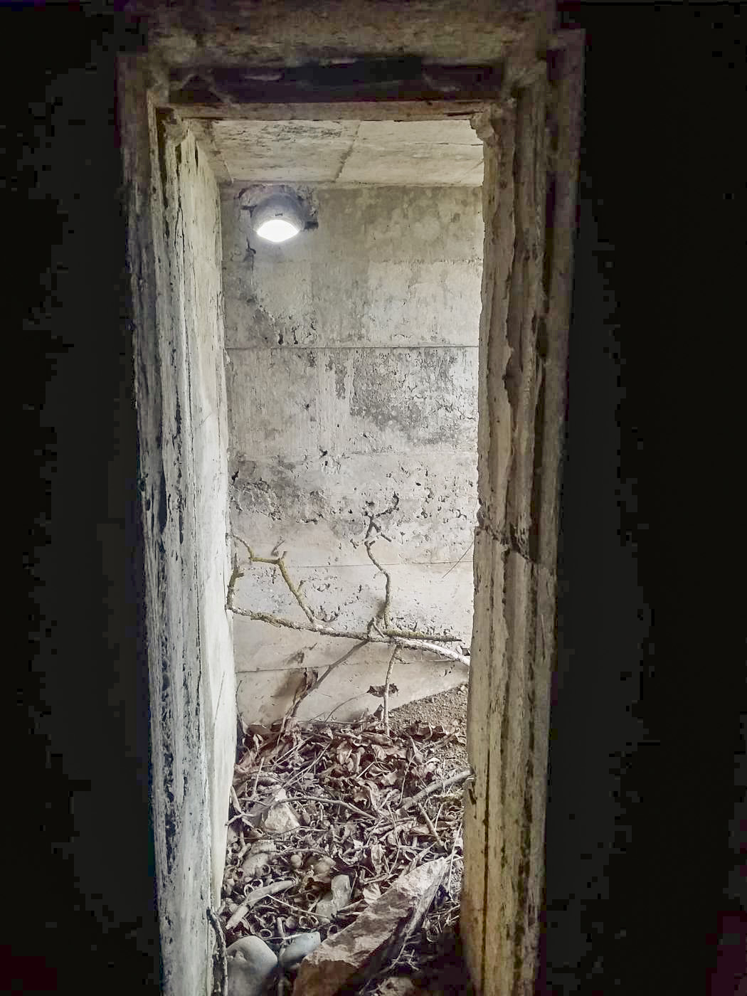 Ligne Maginot - ROUTE DE RIEDWIHR 3 - (Abri) - 
